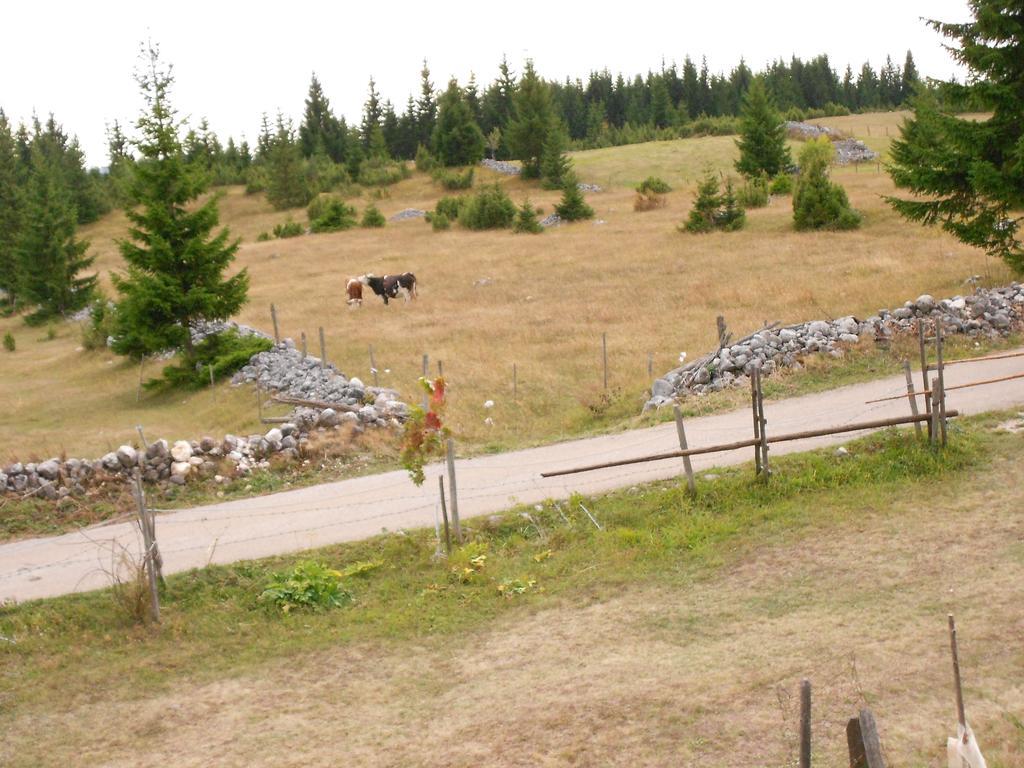 Zabljak Izdavanje Kuce Exterior photo